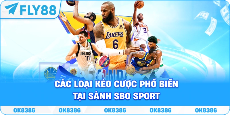 Hình ảnh minh họa các loại kèo cược phổ biến tại sảnh SBO Sport