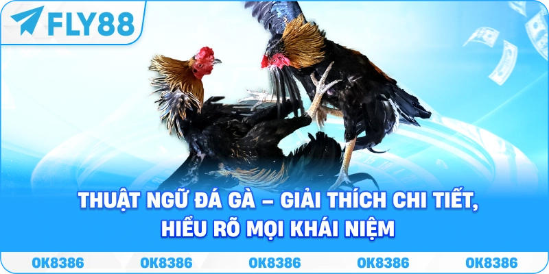 Thuật ngữ đá gà – Giải thích chi tiết cho người chơi chuyên nghiệp